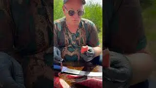 ФЕДЯ - ДИЧЬ 🐟 СОЧНАЯ КОЛБАСА ИЗ МУРЕНЫ 
