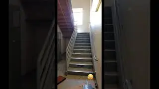 Moving furniture in the army