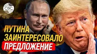 Путин прислушался к Трампу? «Мы относимся серьезно к его готовности остановить войну на Украине»