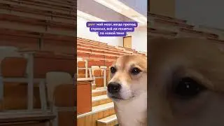 pov: мой мозг, когда препод спросил всё ли понятно? 