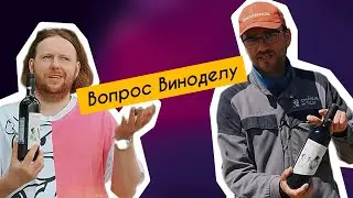 Французский винодел отвечает на вопрос| Шато де Талю| Российское виноделие|