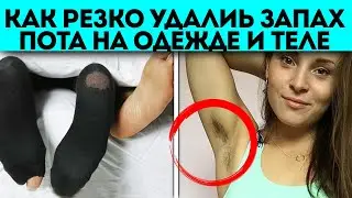 Удалить быстро запах пота на одежде и теле! Как избавиться от запаха пота домашними средствами