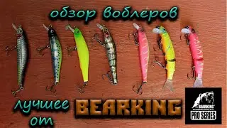 Топ 3 воблеров от Bearking.Обзор приманок.Лучшие воблеры с Алиэкспресс