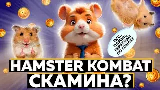 HAMSTER KOMBAT - СКАМИНА? l Как школьники подсели на Хамстер Комбат