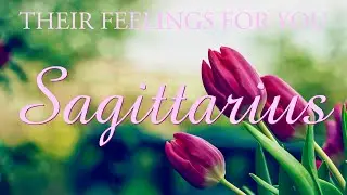 SAGITTARIUS love tarot ♐️ This Person Wants To Win You Over Sagittarius They Will Not Give Up