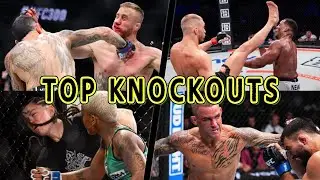 Top MMA Knockouts 2024