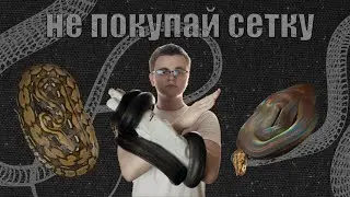 Сетчатый питон или почему размер имеет значение