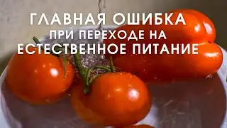 Главная ошибка при переходе на естественное питание. Бая Че Доктор Натуропатии