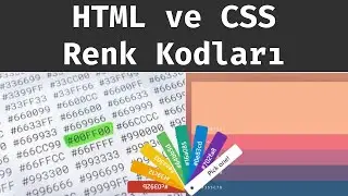 HTML ve CSS Renk Kodları Nelerdir? Nasıl Kullanılır?