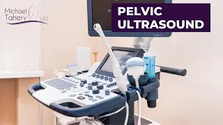 Pelvic Ultrasound | Los Angeles | Dr Michael Tahery