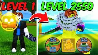 Noob To MAX LEVEL The EASY WAY in Blox Fruits