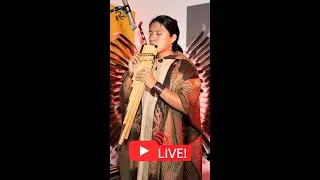 Live Instrumental Music for Touch you Heart from Ecuador
