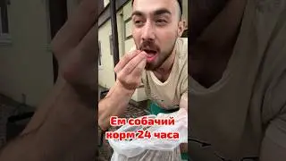 24 часа ем только собачий корм