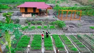 400 DAY process of growing, harvesting clean vegetables and selling - Gardening, permaculture - Farm