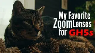 My Favorite Zoom Lenses for GH5s