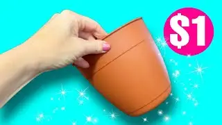 SHOCKING NEVER SEEN BEFORE $1 Planter Hacks! 🤯