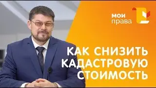 Как снизить кадастровую стоимость? / Консультация юриста / МОИ ПРАВА