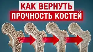 ЛУЧШИЕ продукты для здоровья костей и суставов! / Профилактика ОСТЕОПОРОЗА и других болезней костей