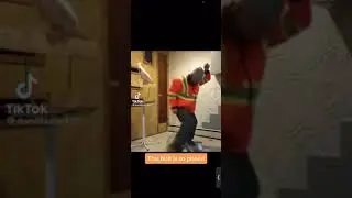 Попугай в недоумении и устраивает разборки