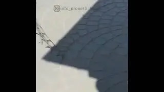 #lifehacks