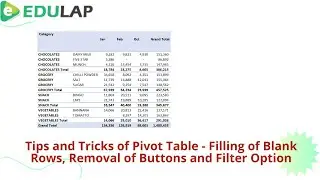 Tips and Tricks of the Pivot Table- How to Fill Blank Rows, Removal of Button and Filter from Pivot