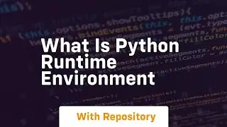 what is python runtime environment