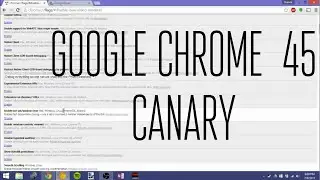 Google Chrome 45 Canary New Features!