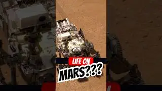 Have We Finally Found Life On Mars?