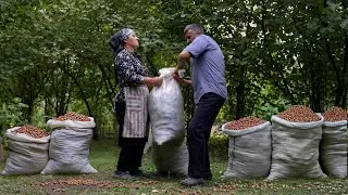 🌰 Garden Fresh: Picking Hazelnuts and Preparing Hazelnut Butter Outdoors