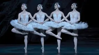 Swan Lake – Dance of the cygnets (The Royal Ballet)