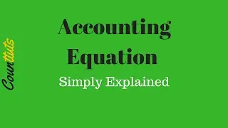 Accounting Equation Basics | Accounting For Beginners