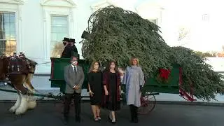 The First Lady Participates in the White House Christmas Tree Delivery