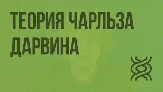 Основные положения эволюционной теории Чарльза Дарвина. Видеоурок по биологии 9 класс