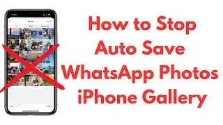 how to stop auto save whatsApp images in iphone Gallary