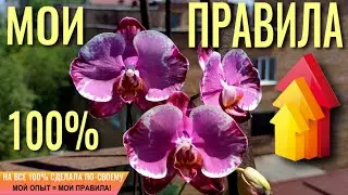 ❗️НА ВСЕ 100% СДЕЛАЛА ПО-СВОЕМУ❗️ МОЙ ОПЫТ🟰МОИ ПРАВИЛА❗️ТРИ МЕСЯЦА НА РЕЗУЛЬТАТ❗️ЭТО ЖЕРТВА, ИЛИ S..