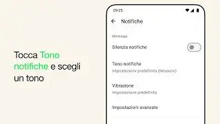 Come personalizzare i toni delle conversazioni per una chat individuale o di gruppo | WhatsApp