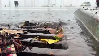 Bay Area coastal areas get ready for weekend of high winds, rain