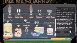 DNA microarray