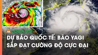 Dự báo quốc tế: Bão Yagi sắp đạt cường độ cực đại | Video Alobacsi