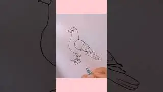 How to draw a bird #easy #art #trending  #drawing #viralvideo #howtodraw #beautiful #short #shorts