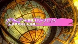 География 8 класс $17 Образование почв и их разнообразие