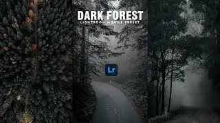 Dark Forest - Free Lightroom Mobile Presets | Forest Preset | Dark Filter | Cinematic Preset