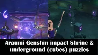 Araumi Genshin impact Shrine & underground puzzles/Cleansing defilement Quest location