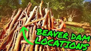 BEAVER DAM LOCATIONS Ark Survival Ascended on THE ISLAND!!!! TONS OF CEMENTING PASTE