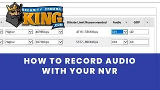 How to Record Audio from your Security Cameras with Your NVR