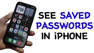 How to See Saved Passwords in iPhone