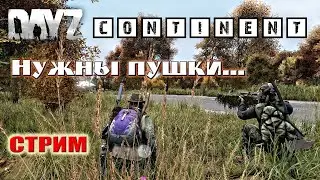 DayZ Standalone: Dayz Сontinent  - В поисках оружия (Стрим)