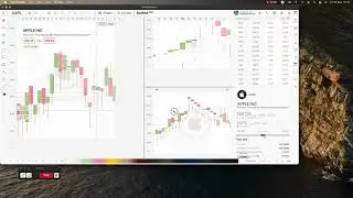 SwiftUI chart Trading app Resize test