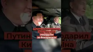 Путин отблагодарил Ким Чен Ына лошадьми за боеприпасы