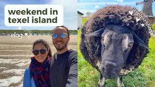 SUNNY WEEKEND IN TEXEL ISLAND 🐑 ☀️ | Netherlands summer travel vlog